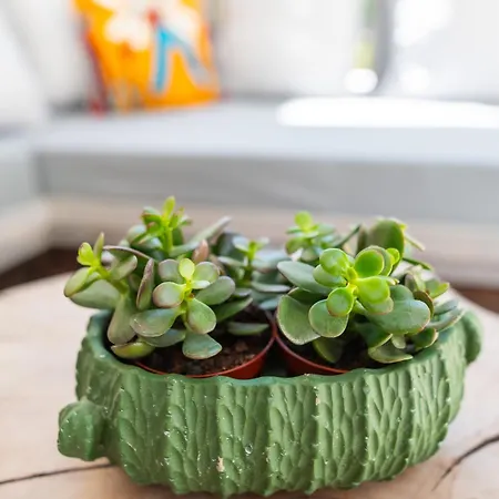 Perla Сasa de vacaciones